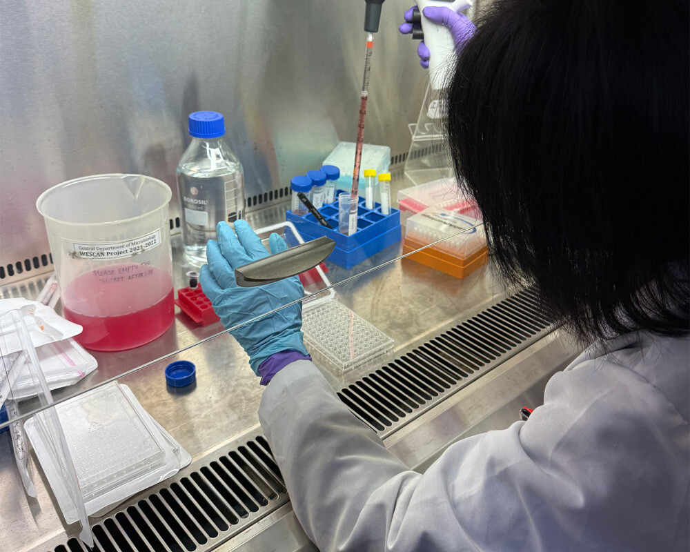 BasVirTraining_page2