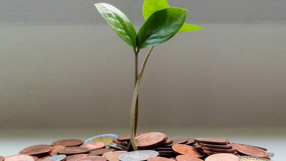 micheile-dot-com-lZ_4nPFKcV8-unsplash