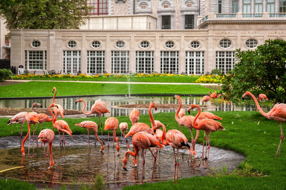 Zoo-antwerp