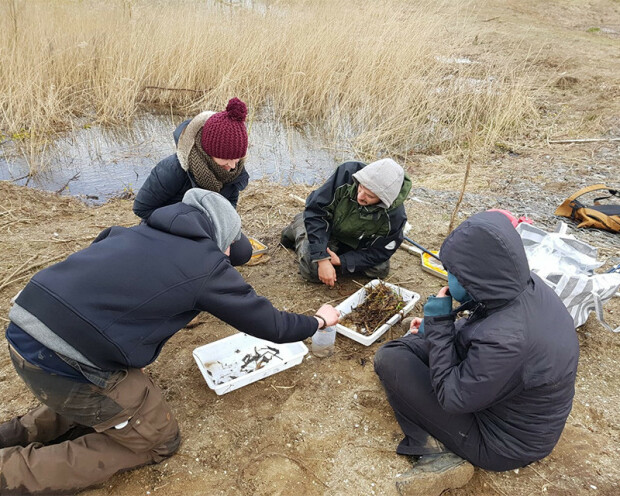 Field-work-1