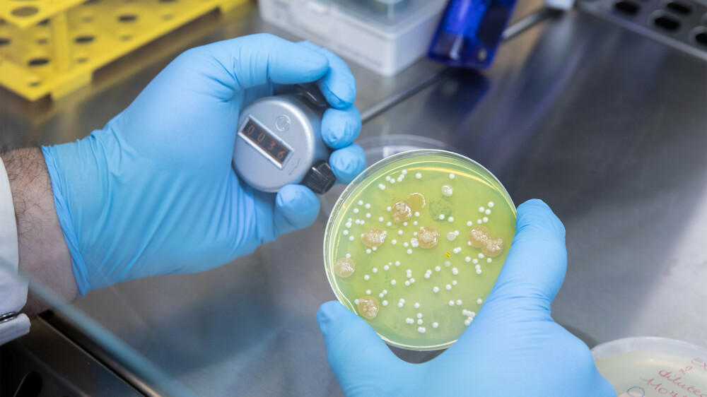 New-immunology-labs-page-7