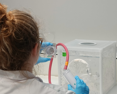 WHO susceptibility test