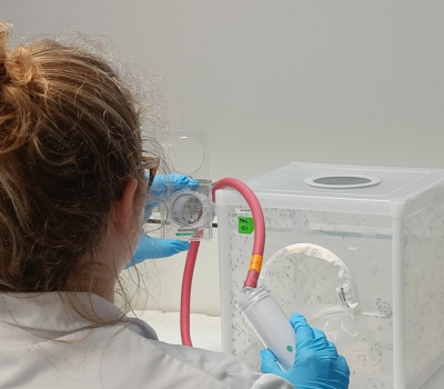 WHO susceptibility test