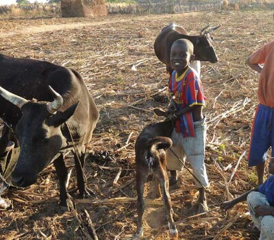 gambianovdec2013127crop