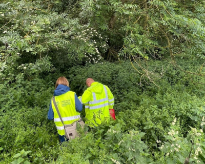 Website banner tiger mosquito detections 2023