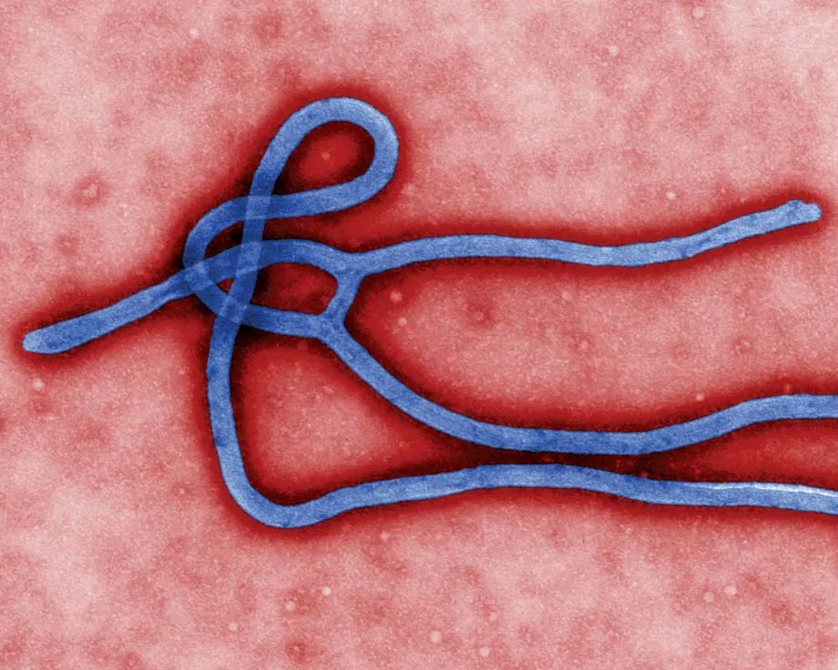 Ebola_5x4