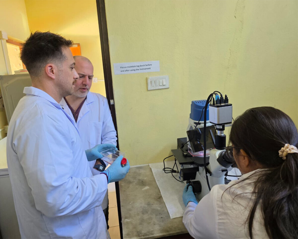 BasVirTraining_page1