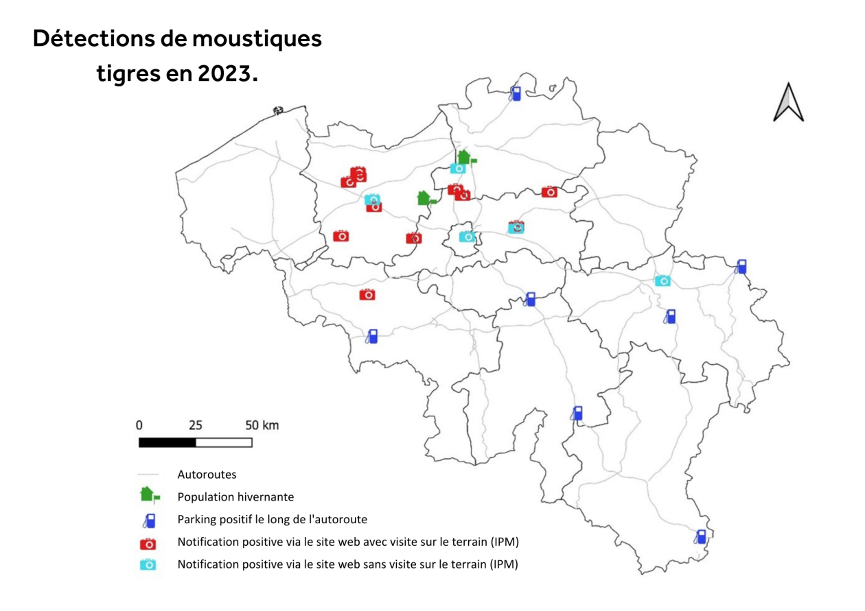 Détections-de-moustiques-tigres-en-2023