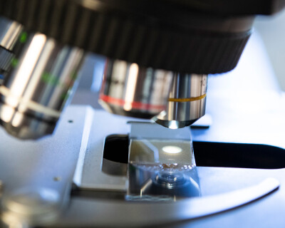 Fresh-off-the-journal-header