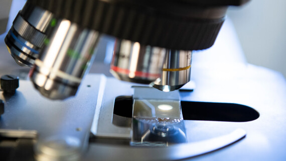 Fresh-off-the-journal-header