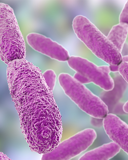 Antibiotic-resistance-2-resized