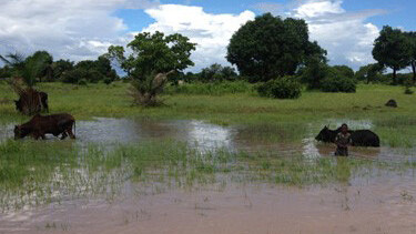 FOTJ_Tanzania_5x4
