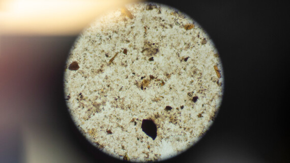 Travelstool-opengraph