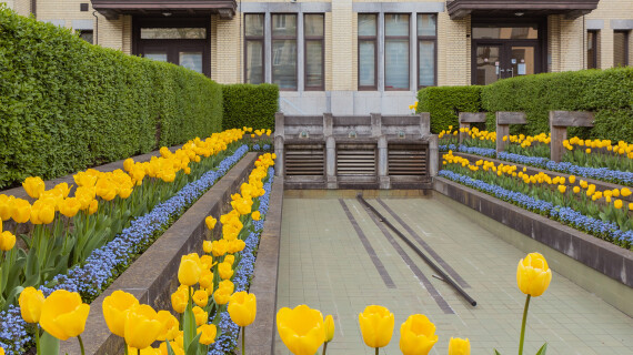 Stille-wateren-header