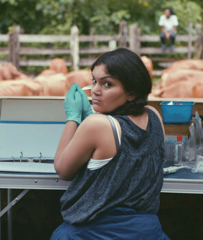 opinion-piece-header-picture-resized