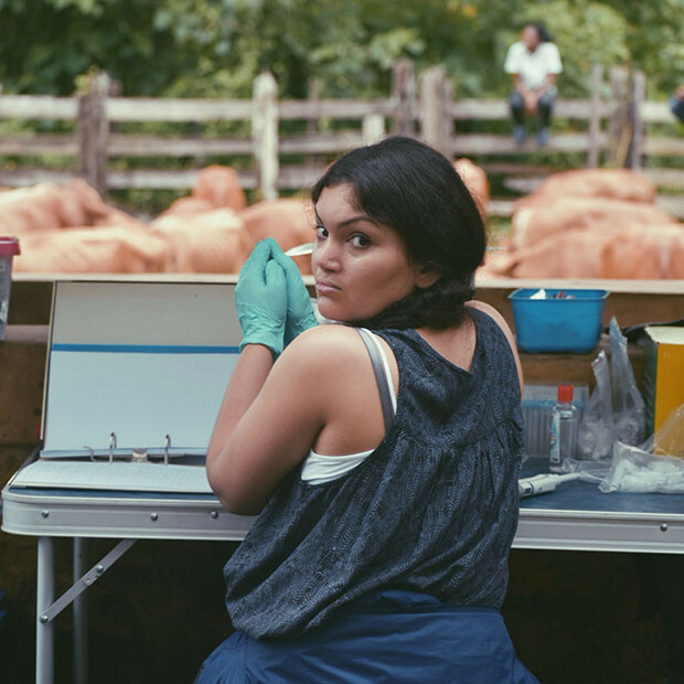 opinion-piece-header-picture-resized