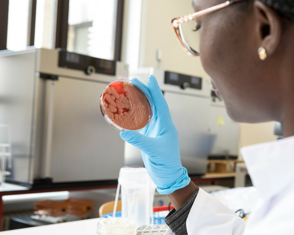 New-course-offer-field-laboratory-preparedness