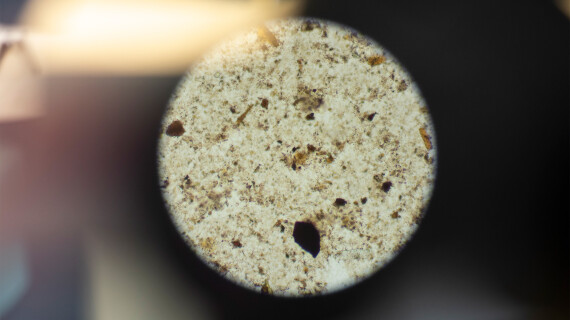 FOTJ-2026-april-e-coli_2000x1200