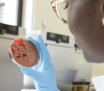 amr-students-in-lab