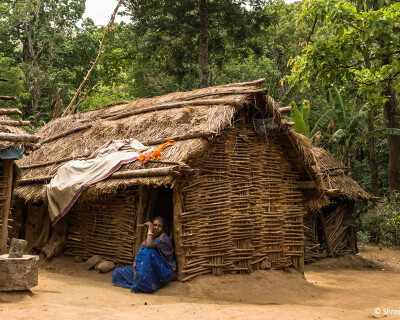 Soligas-community-(c)-shrenik-sadalgi