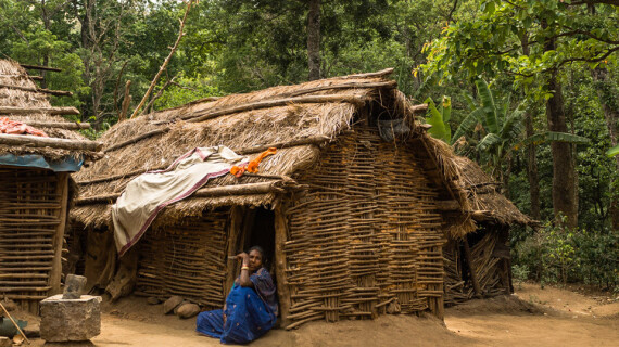 Soligas-community-(c)-shrenik-sadalgi