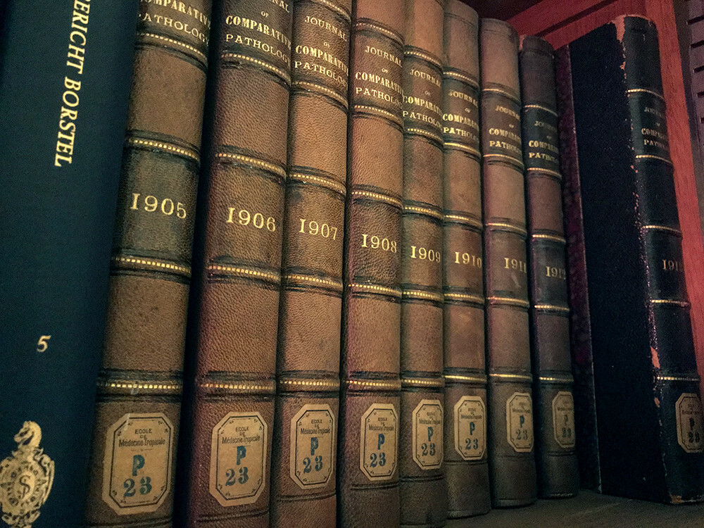 boeken erfgoedbibliotheek