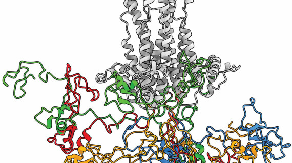FOTJ_6_ProteinSleepingSicknessDetection_5x4